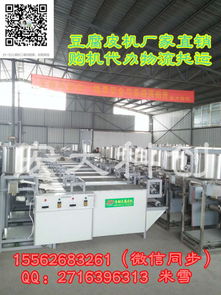 濟(jì)南宏大科創(chuàng)2017新款豆腐皮機(jī) 價(jià)格解析與技術(shù)交流